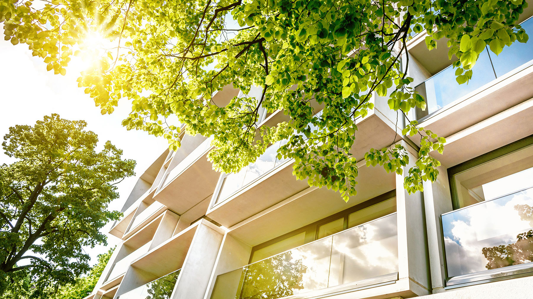 Cantor Park Condominiums (Arlington) cover